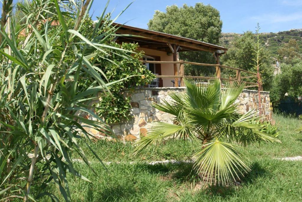 Tarifa-Blick Auf Afrika, Haus Am Meer, Haustiere Erlaubt Eksteriør billede